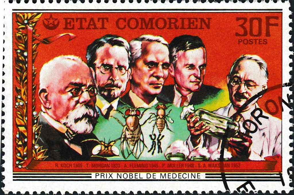 Stamp