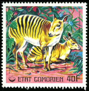 Stamp