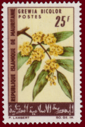 Stamp
