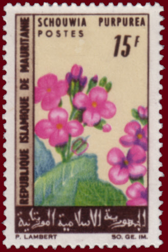 Stamp